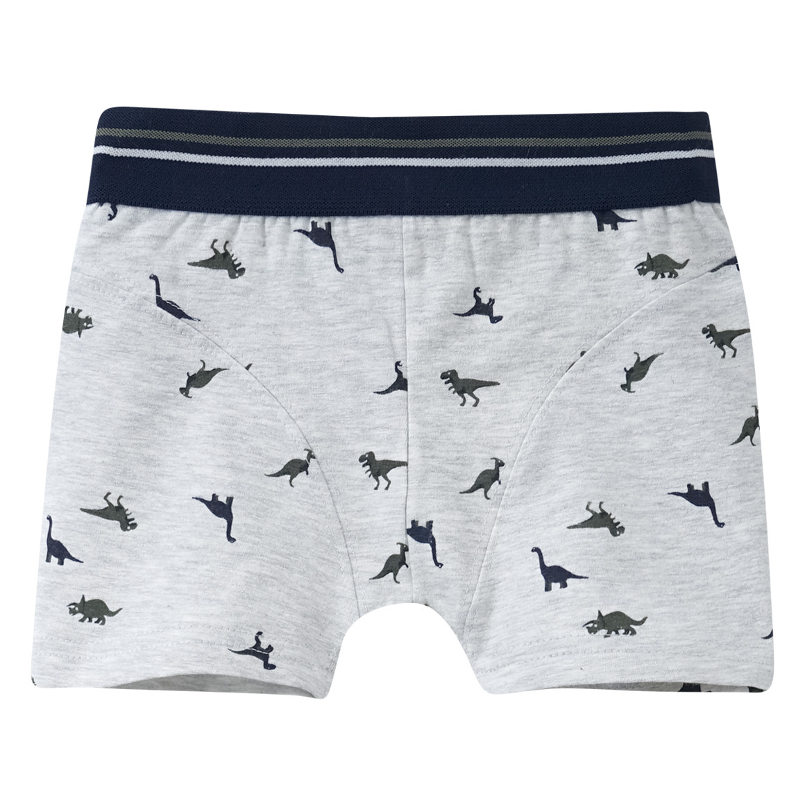3 Jungen Boxer mit Dinosaurier-Allover