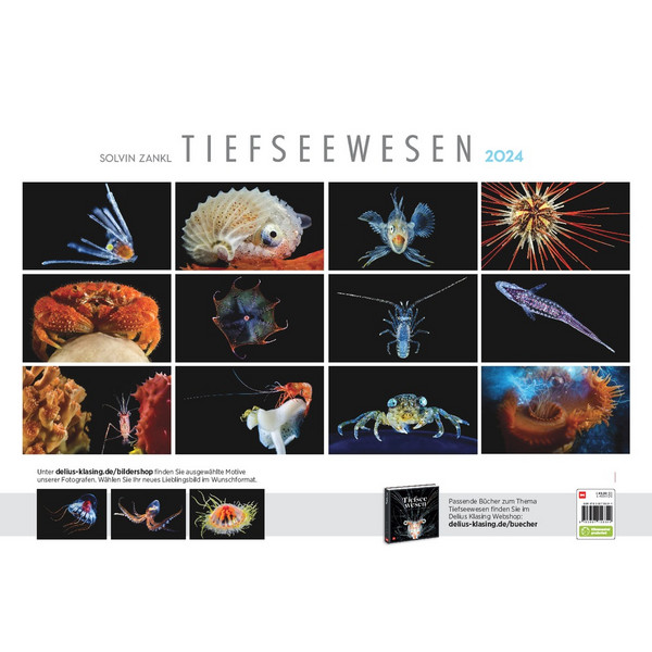 TIEFSEEWESEN 2024 - Kalender