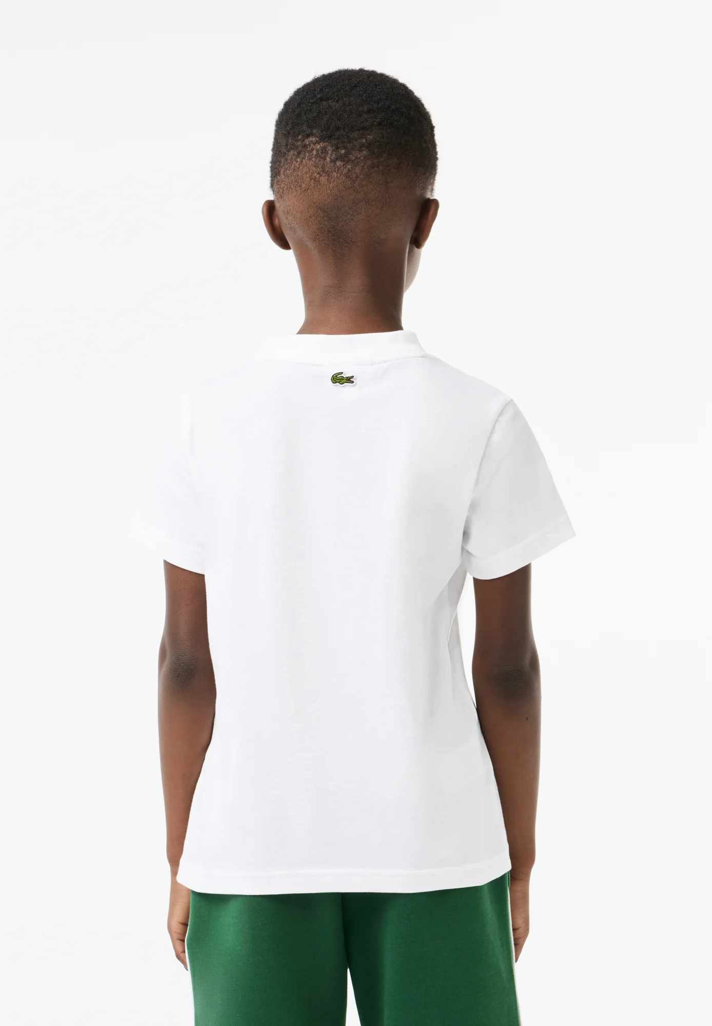 Lacoste TEE BIG CROCO AND SCRIPT - Camiseta con estampado