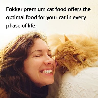 Fokker Cat Steri-Fit Skin & Coat