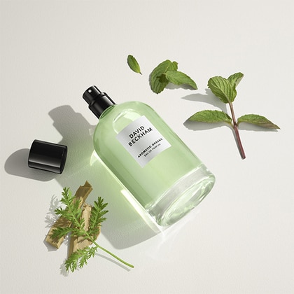 David Beckham Aromatic Greens Eau de Parfum Spray