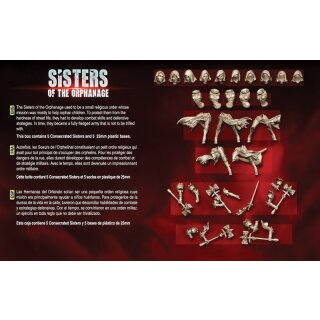 Consecrated Sisters Troops (SOTO-F)