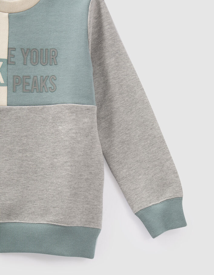 Sweat gris, vert, écru visuels en gomme garçon
