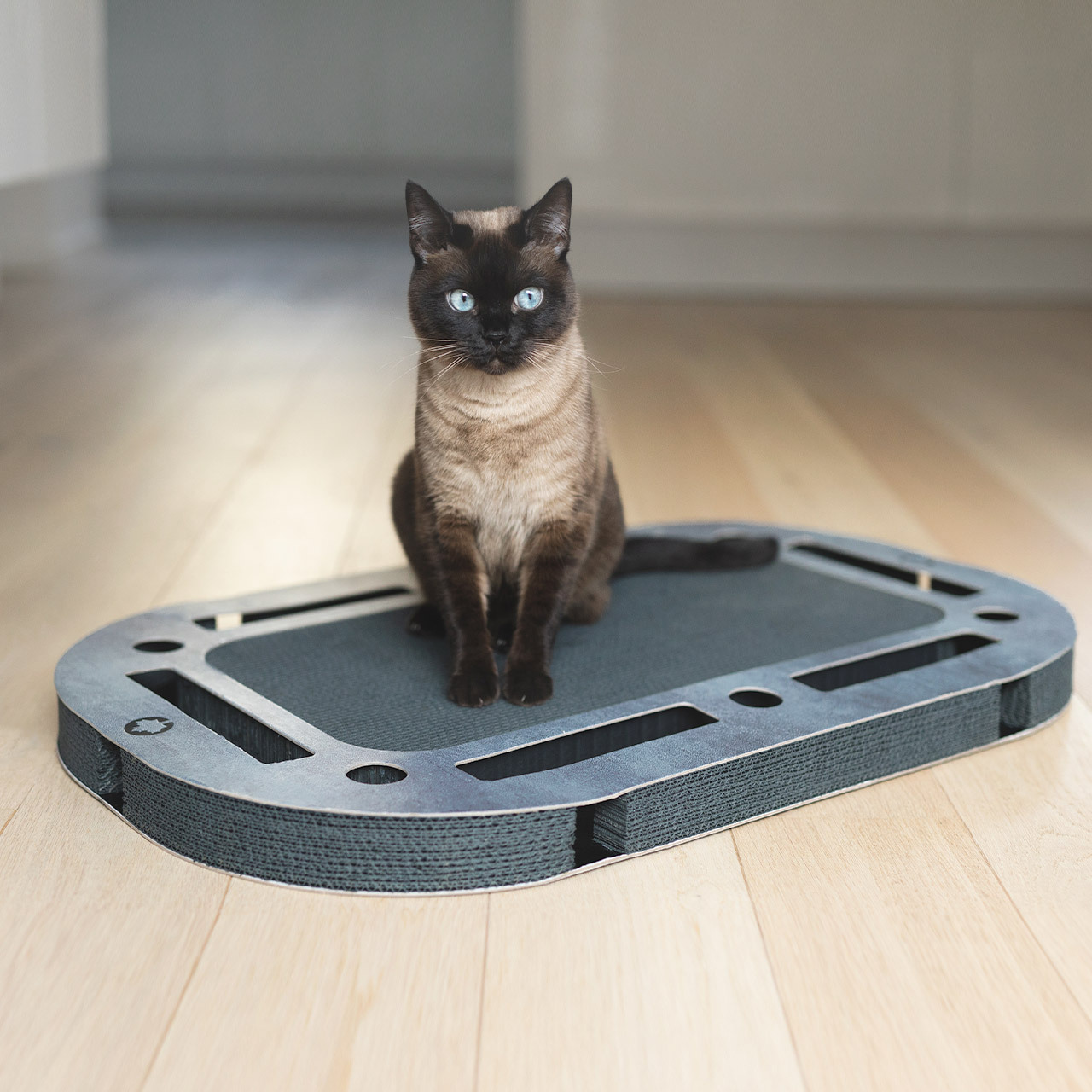 Canadian Cat Company Intelligenzspielzeug Canadian Cat Company Katzenspielplatz PlayPlate Black grau