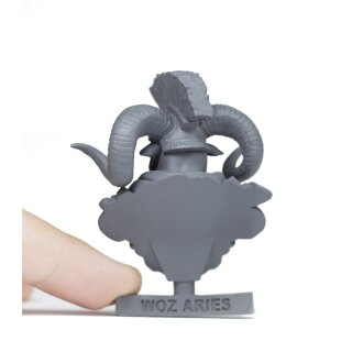 Aries Bust