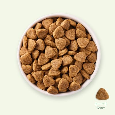 Yarrah Bio Ökologisches Vega Getreidefrei