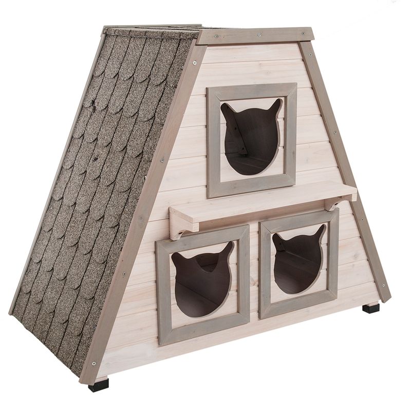 Katzenhaus Madeira zu TOP-Preisen