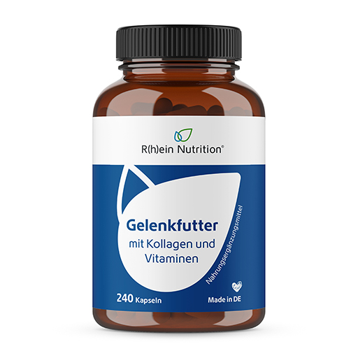 GELENKFUTTER Gelenkkapseln  240 St  Kapseln