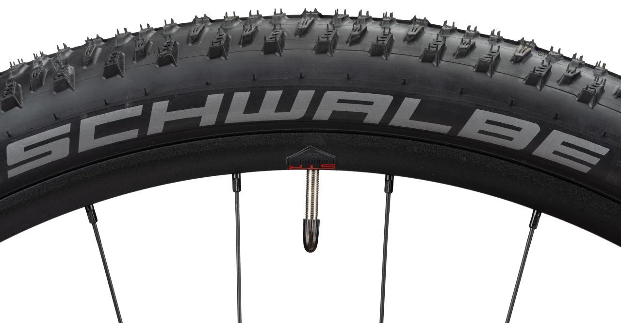 Radon Jealous AL 9.0 kaufen | Bike-Discount