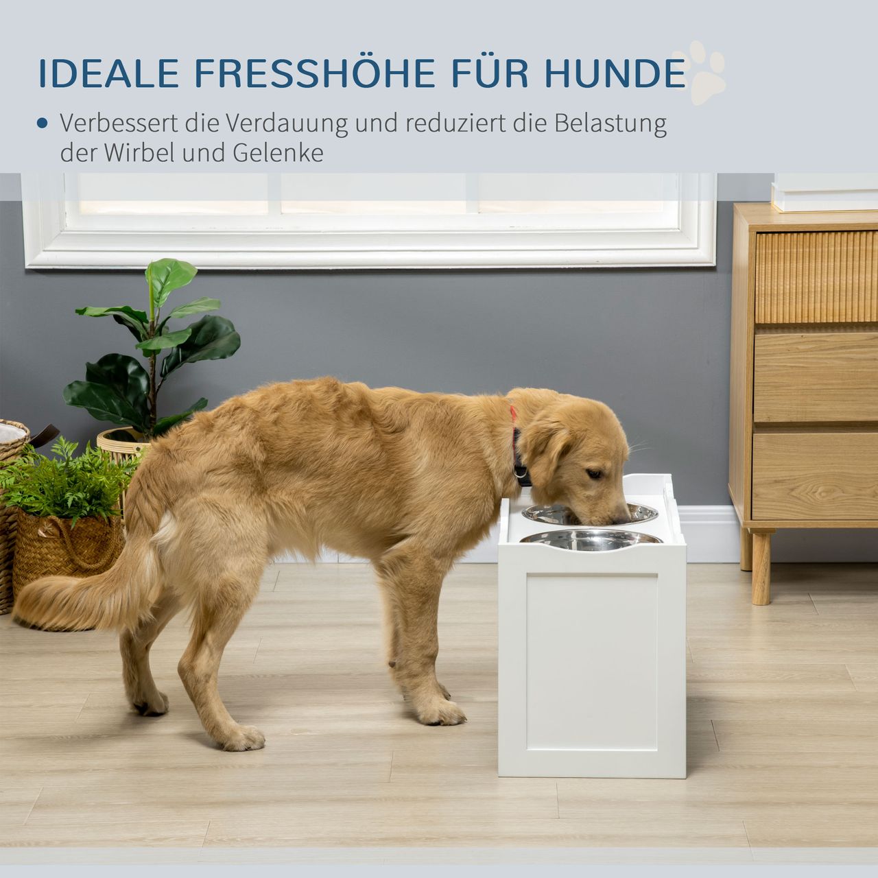 PawHut Erhöhter Hundenapf, Edelstahlnapf, Futternapf mit erhöhtem Rand, Weiß