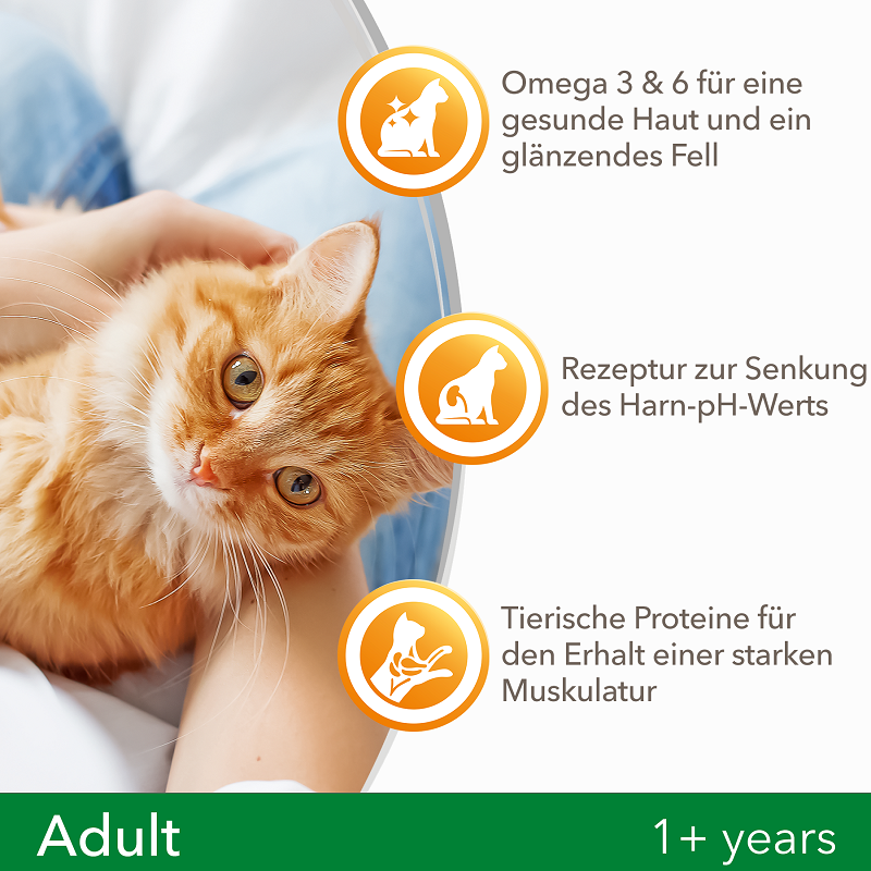 IAMS Trockenfutter IAMS Vitality Adult Huhn 3 kg