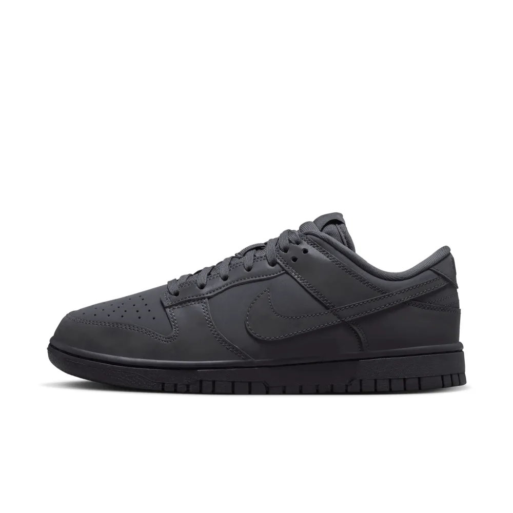 Nike WMNS Dunk Low FZ3781-060 / grau