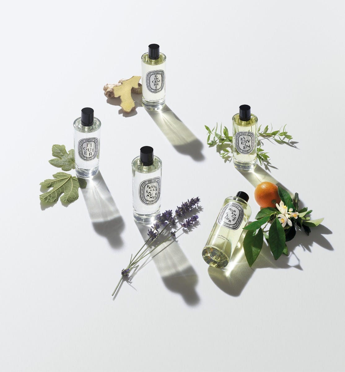 Gingembre - Vaporisateur d'intérieur