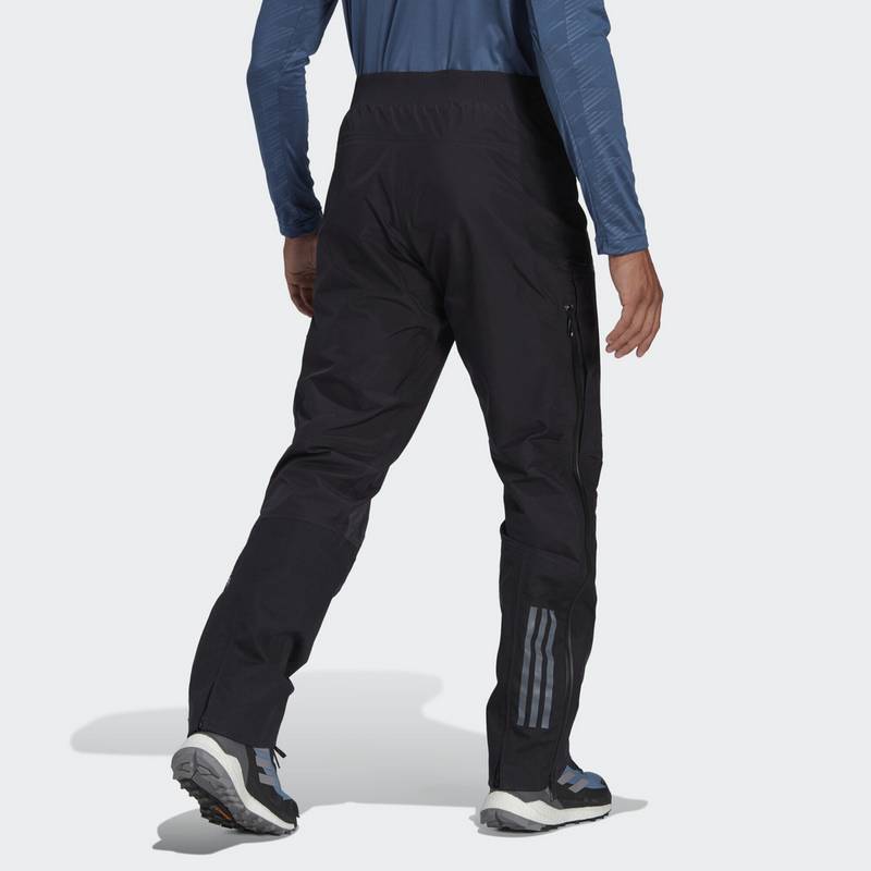 adidas TERREX Techrock GORE-TEX Pro Hose Wanderhose Herren