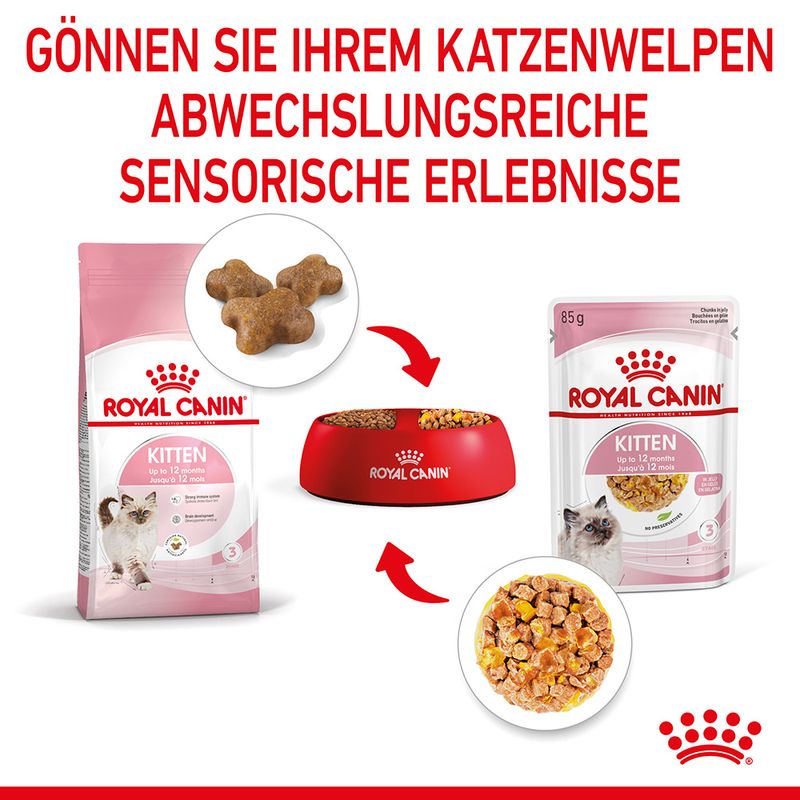 Royal Canin Kitten in Gelee zu TOP-Preisen