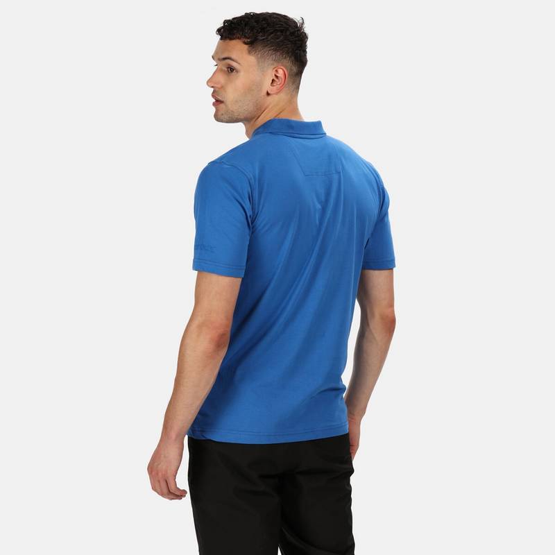 Regatta Sinton Poloshirt Herren