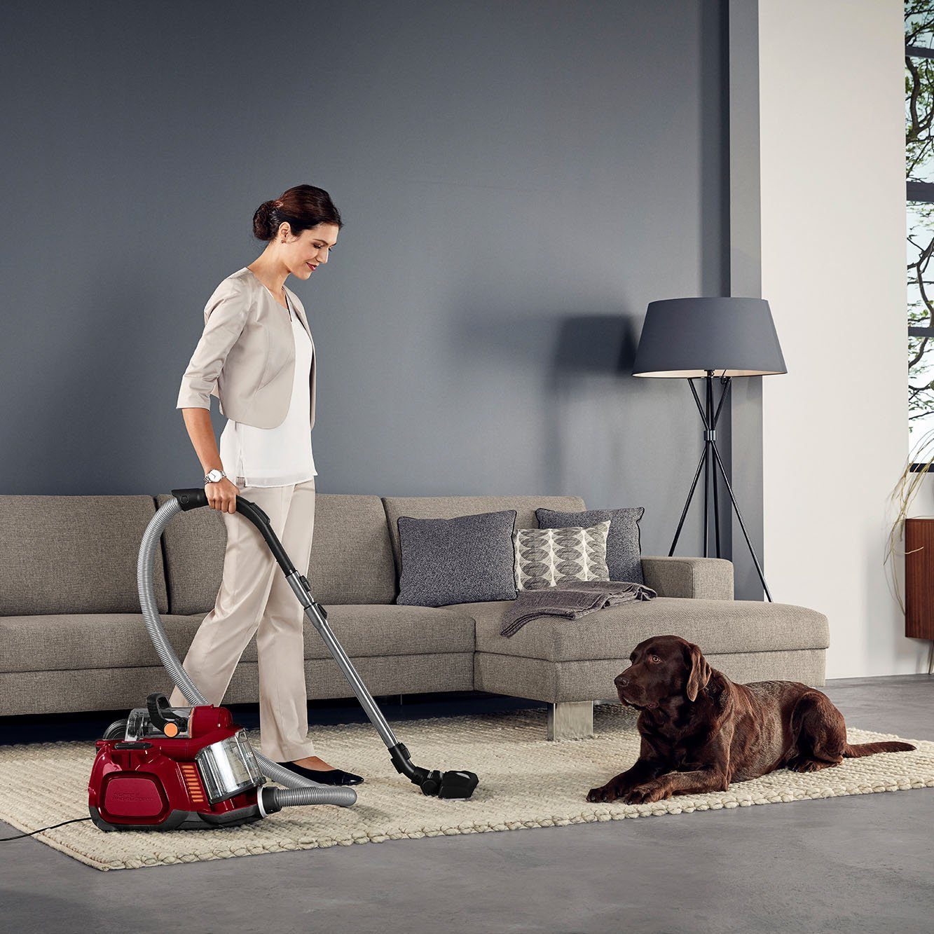 AEG Bodenstaubsauger LX7-2-CR-A, 750 W, beutellos, ideal für Haustierbesitzer, inkl. Spezialdüsen Set, 9 m Aktionsradius