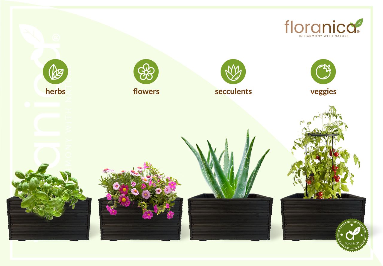 Pemicont Floranica Blumentopf aus Holz Kasten 50cm x 535cm x 285cm Anthrazit Imprägnierte Lärche Schutzhülle für Kräuter Blumen Haus- und Gartendekoration Innen- und Außeneinsatz EU-Produkt