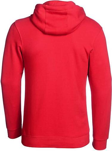 PEAK Sport Hoodie classic