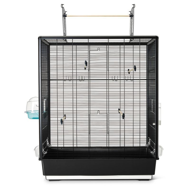 Savic Primo 60 Open Empire zu TOP-Preisen