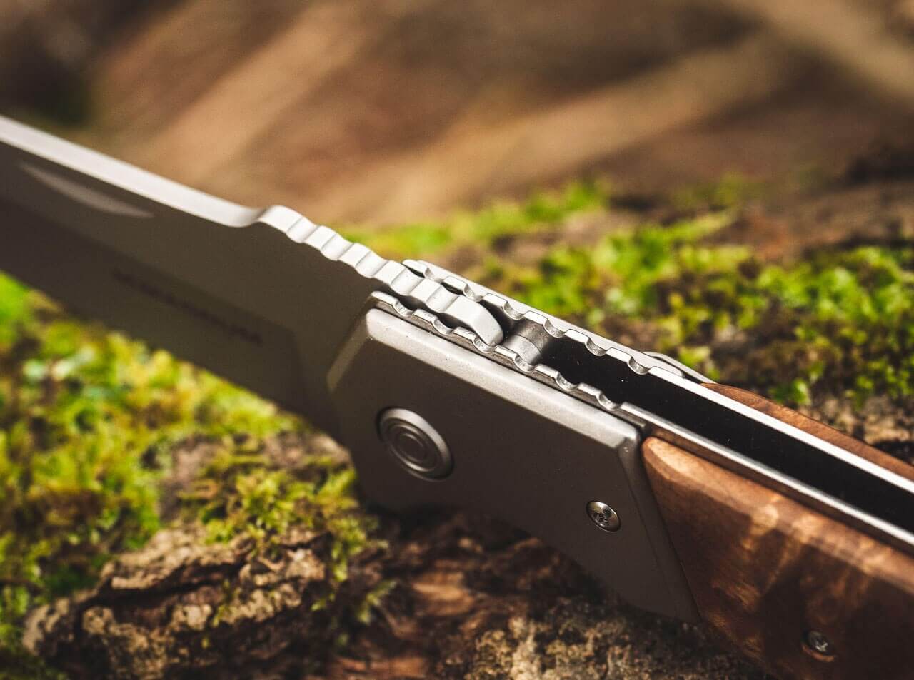 Forest Ranger 42