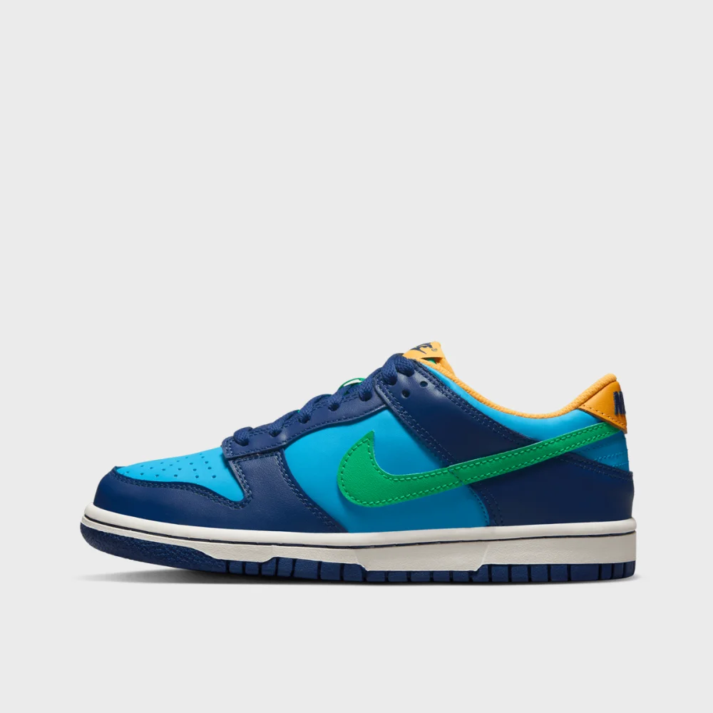 Nike Dunk Low GS DV1693-401 / blau