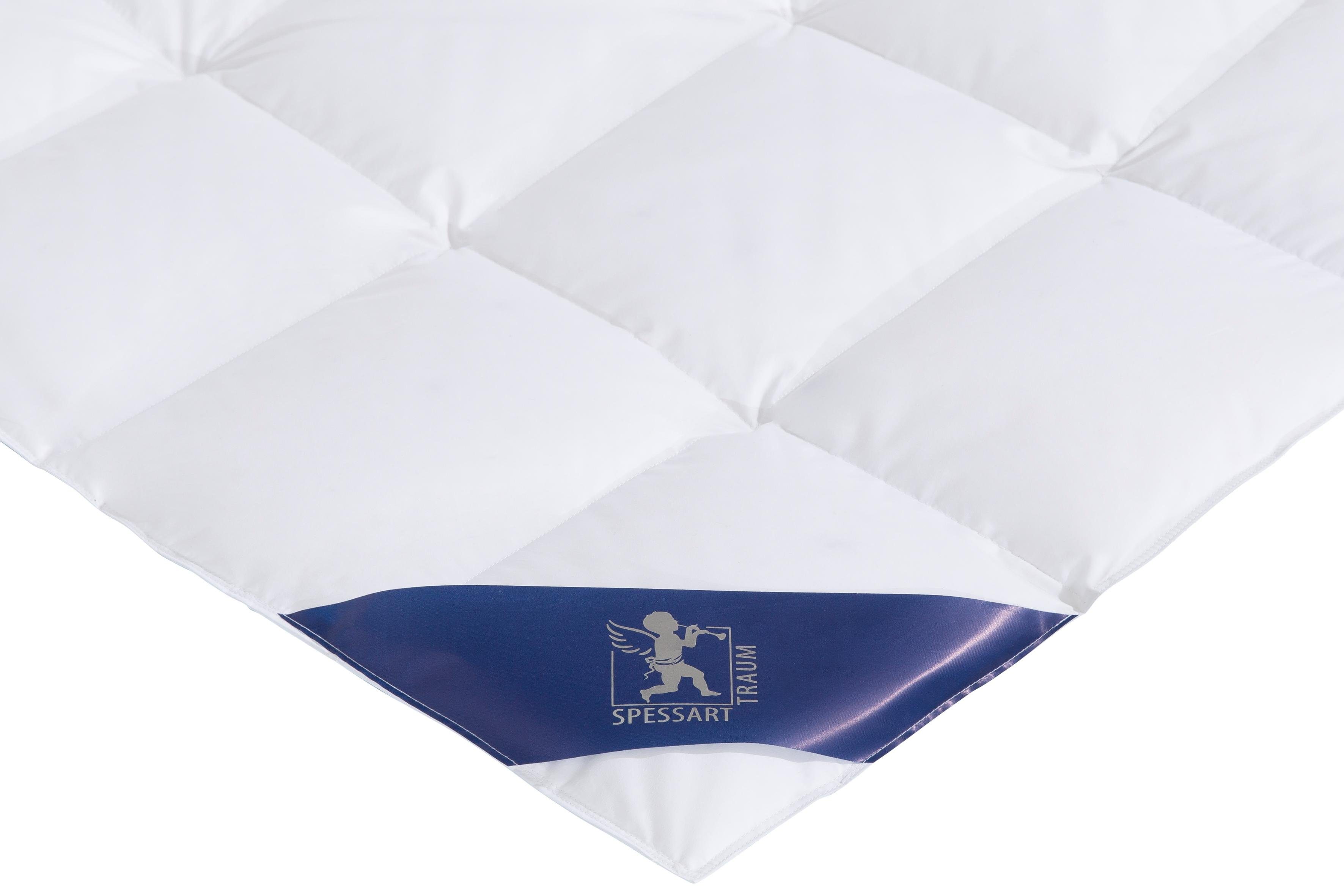 Gänsedaunenbettdecke + Kopfkissen, Premium******, SPESSARTTRAUM, Füllung: Bettdecke: 100% Gänsedaunen, Bezug: 100% Baumwolle, Gänsedaunen zum Spitzen-Preis, im Set günstiger