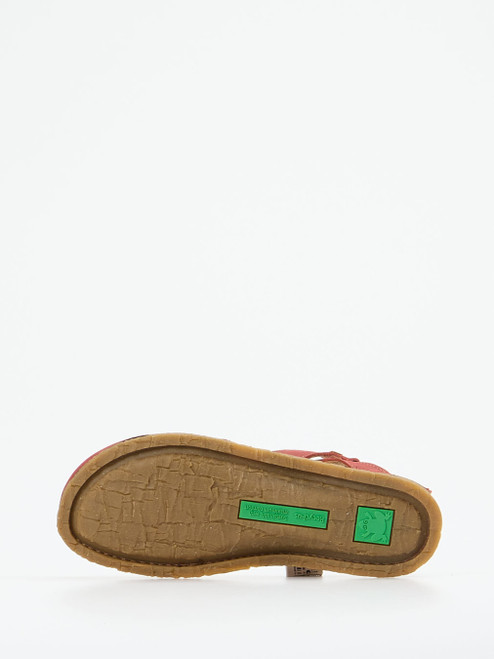 Slipper-13112590001 El Naturalista