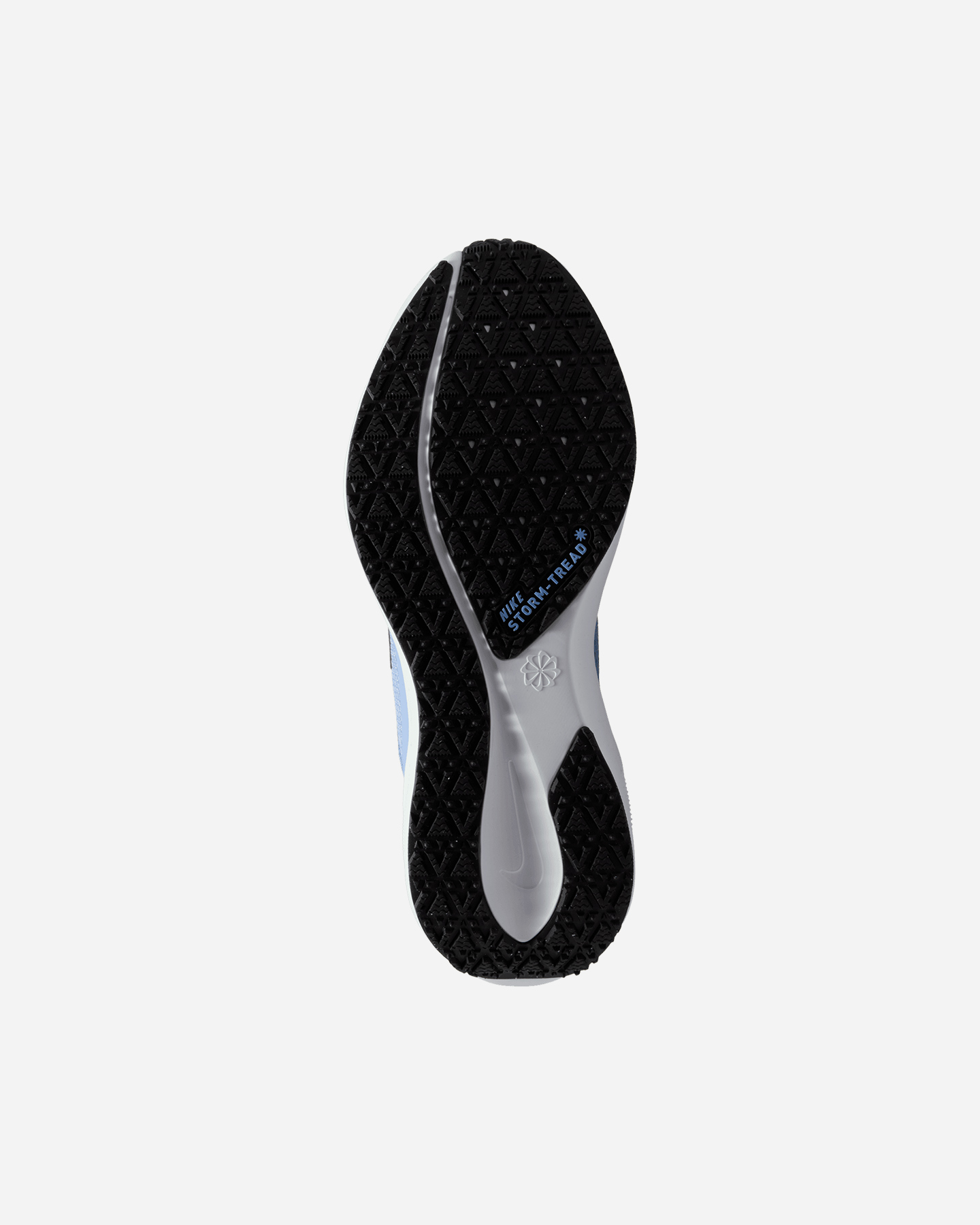 Scarpe Running Nike Pegasus 41 Gore Tex W FQ1357-400