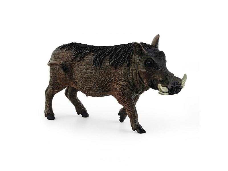 Phacochère
