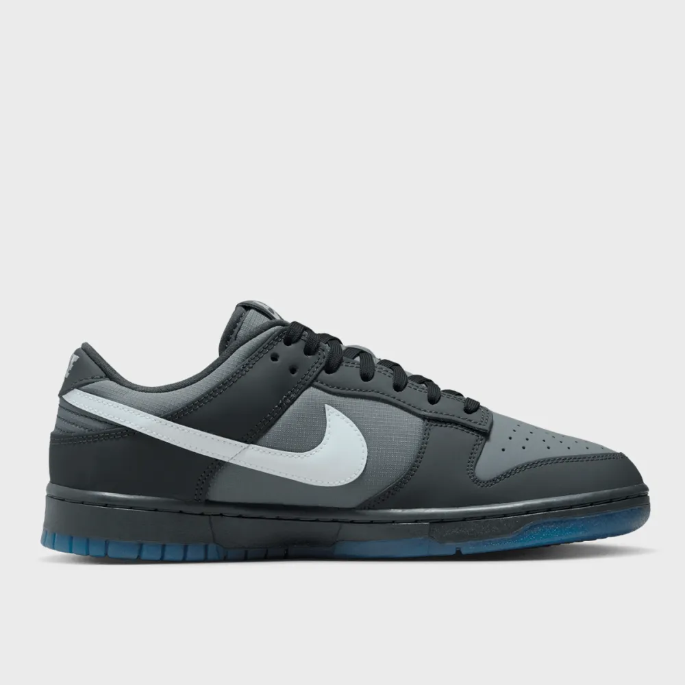 Nike Dunk Low FV0384-001 / grau