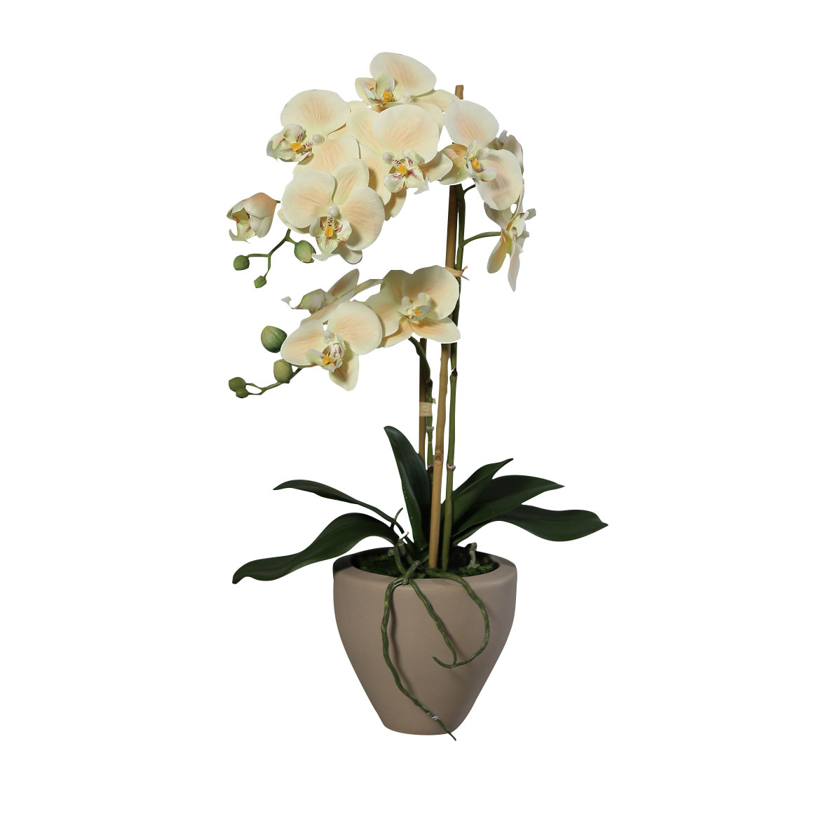 DPIOrchideentopf 57cm