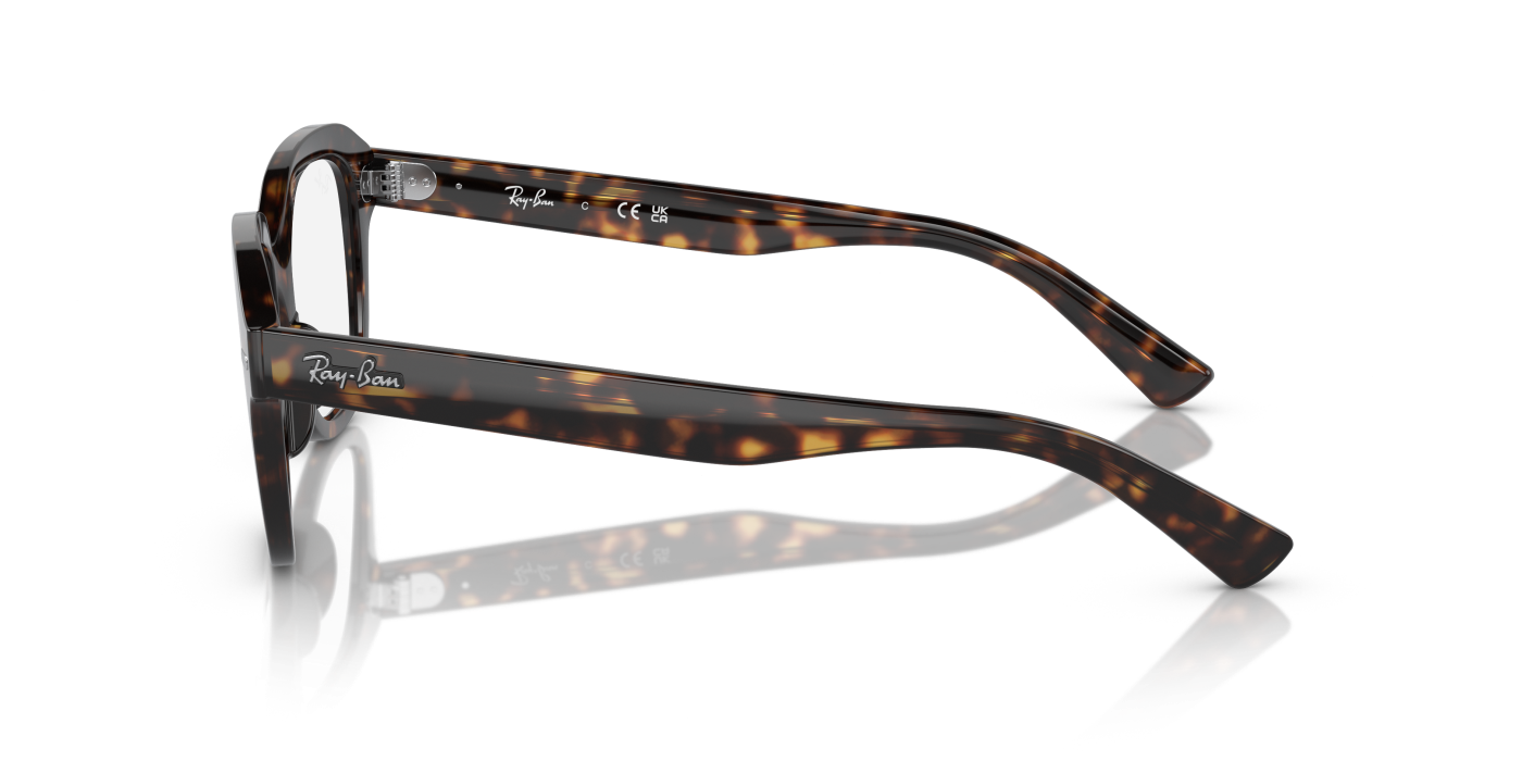 ERIK OPTICS - Lucido Havana