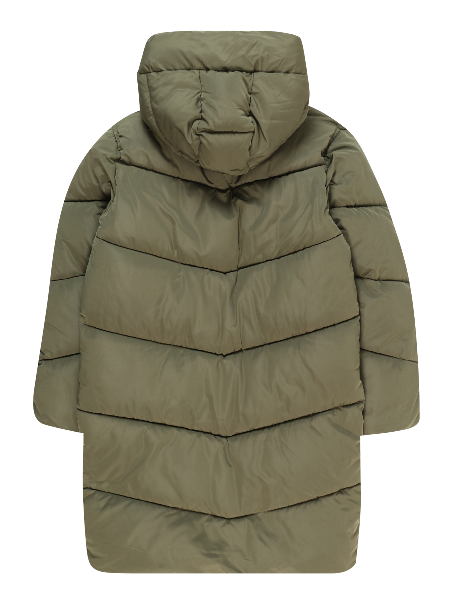 Winter Jacket