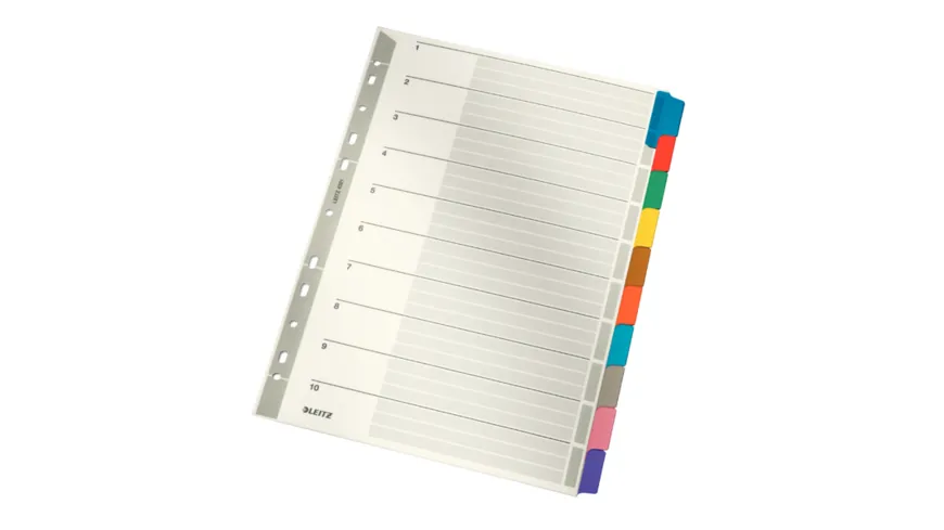 LEITZ Karton-Register A4