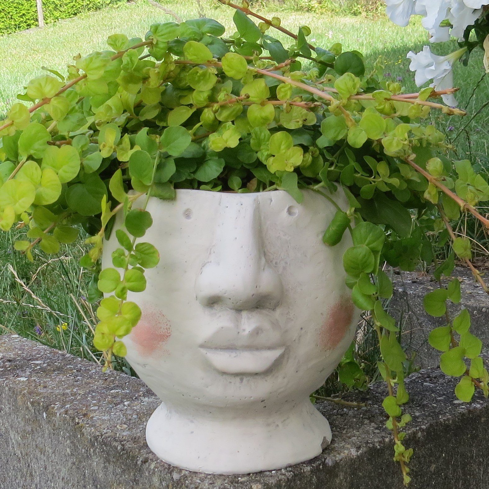 Exner GmbH Garten- & Wohnaccessoires Übertopf Übertopf Büste Buddha Modern Garten Deko Pflanzen Exner GmbH 14 cm