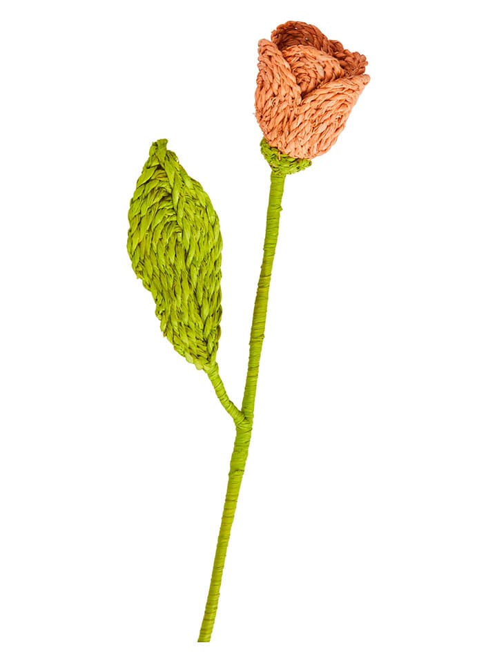 Rice Kunstblume in Orange/ Grün - (H)60 cm günstig kaufen onesize