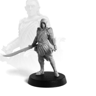 Warrior Elf