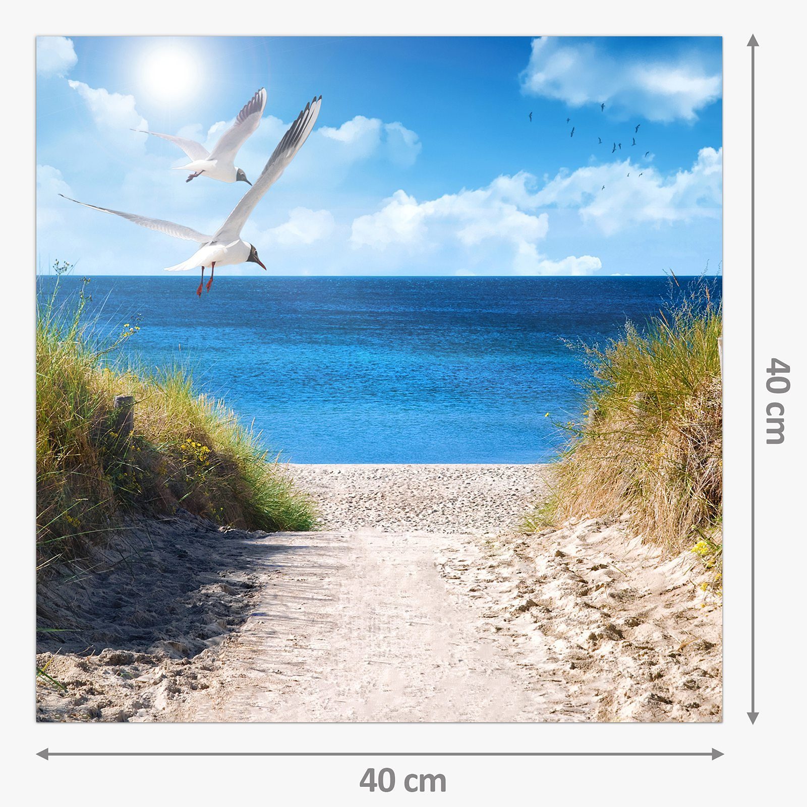 Primedeco Küchenrückwand Küchenrückwand Spritzschutz Glas mit Motiv Möwen am Meer