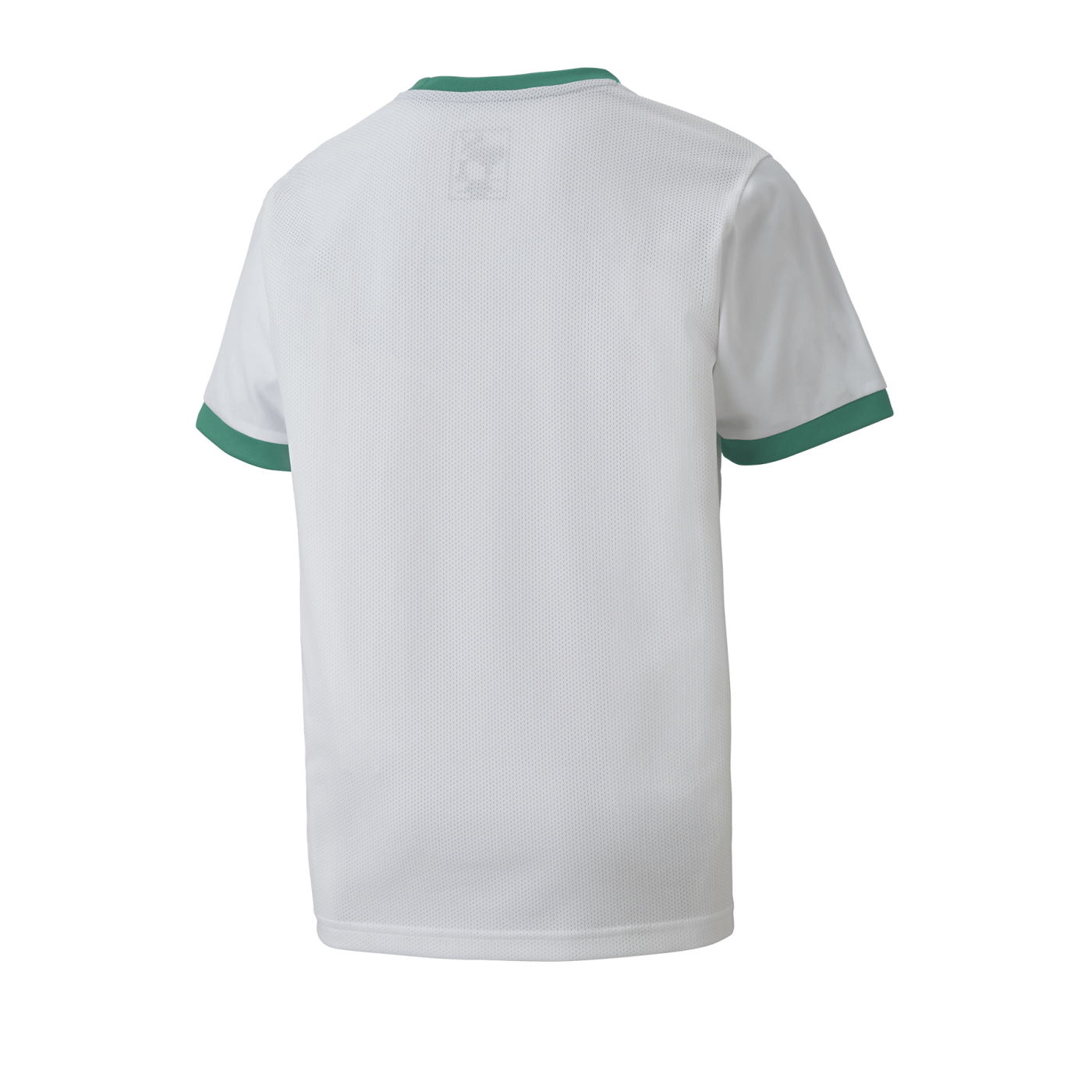 PUMA teamGOAL 23 Trikot kurzarm Kids Weiss F15