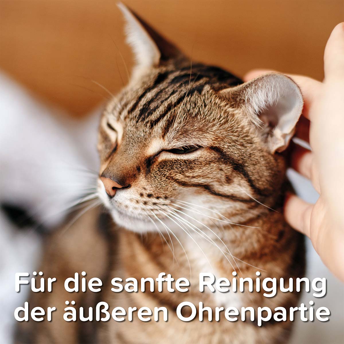 beaphar Sensitiv Ohrenreiniger 50ml + Fingerling GRATIS