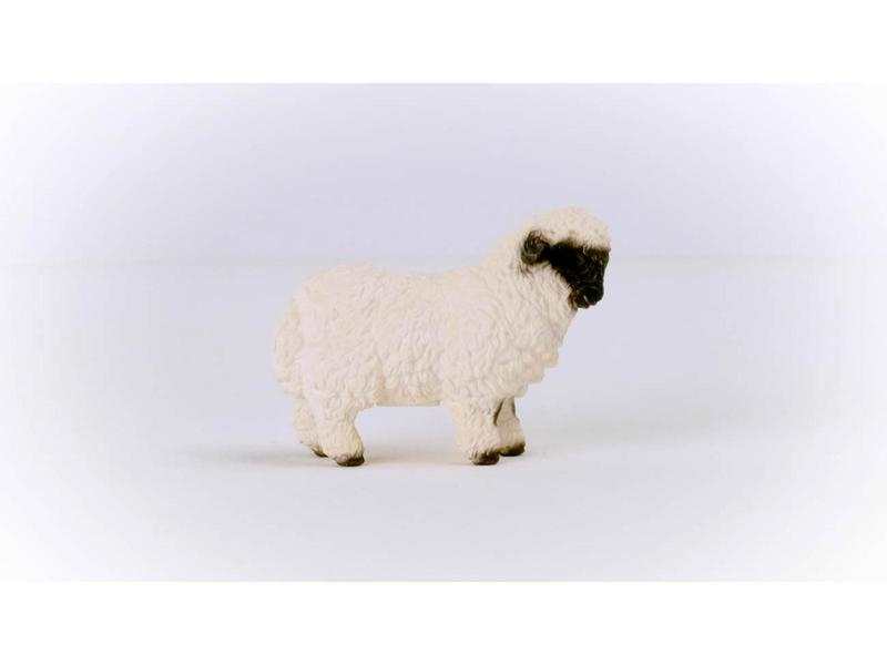 Mouton Nez Noir