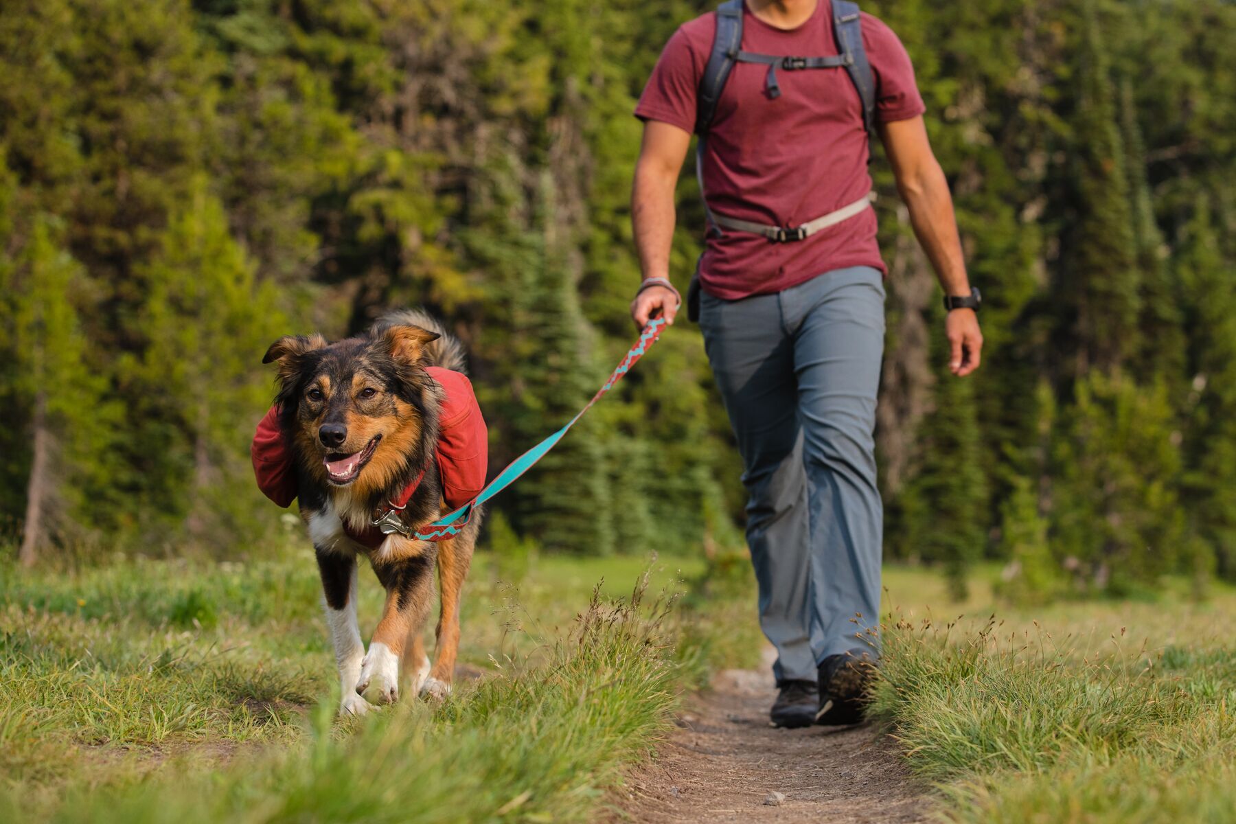 Ruffwear Hundeleinen Ruffwear Flat Out™ Leine blau