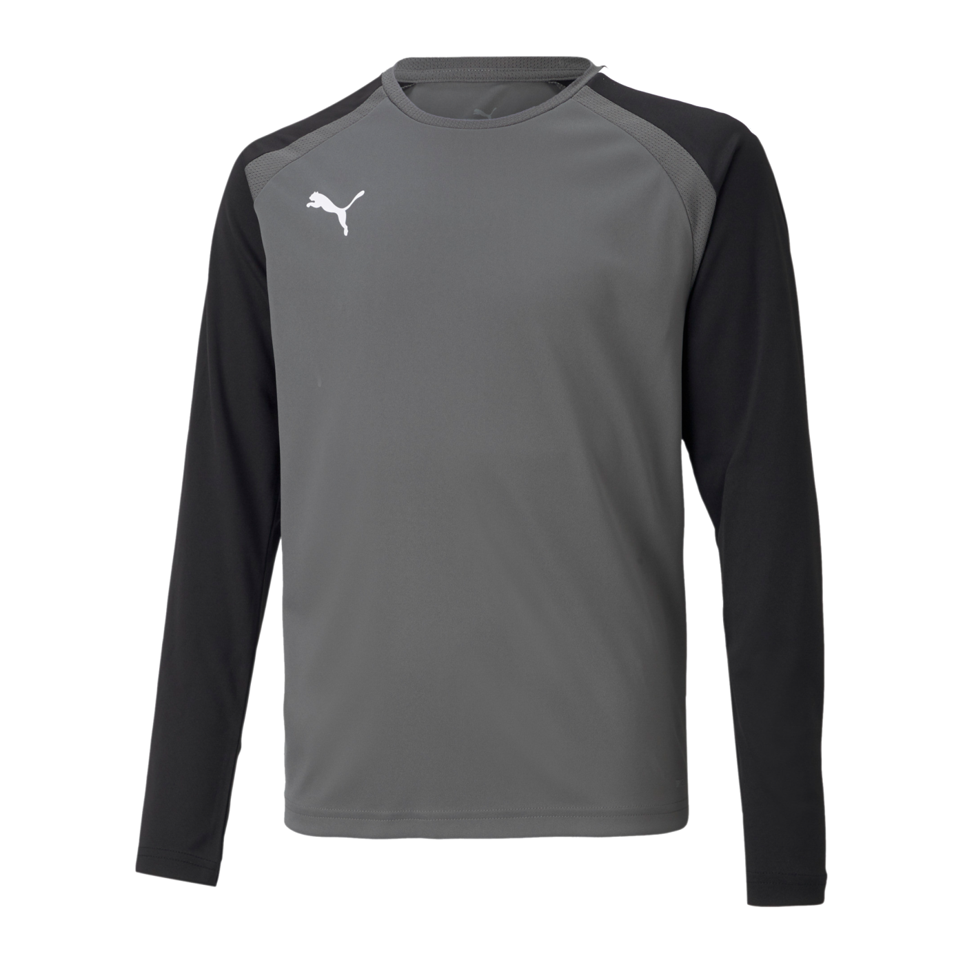 PUMA teamPACER Torwarttrikot langarm Kids F43