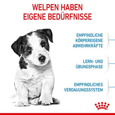 Royal Canin Mini Puppy