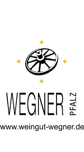 2018 Feuerspiel Sauvignon blanc trocken - Weingut Karl Wegner