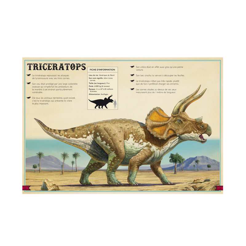 Livre Le livre extraordinaire des dinosaures - Little Urban