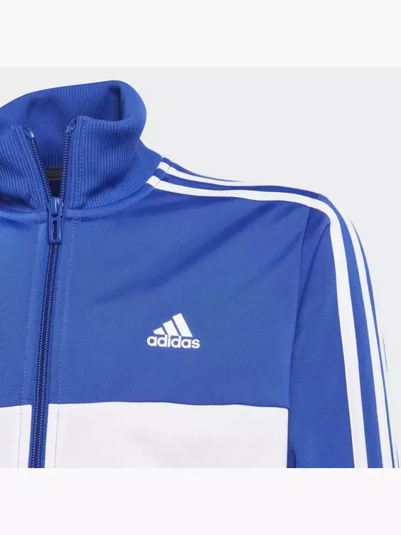 adidas Essentials 3-Streifen Tiberio Trainingsanzug