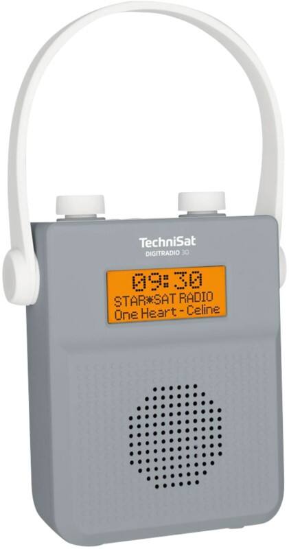 TechniSat Digitales Radio  Mehrfarbig