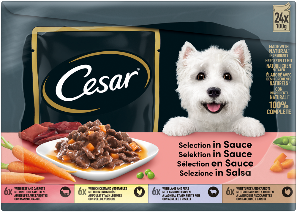 PEDIGREE CESAR Portionsbeutel Multipack Selektion in Sauce 4 Variationen 24 x 100g